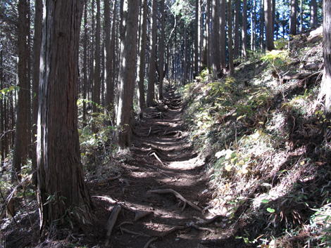 20151127hike (146)